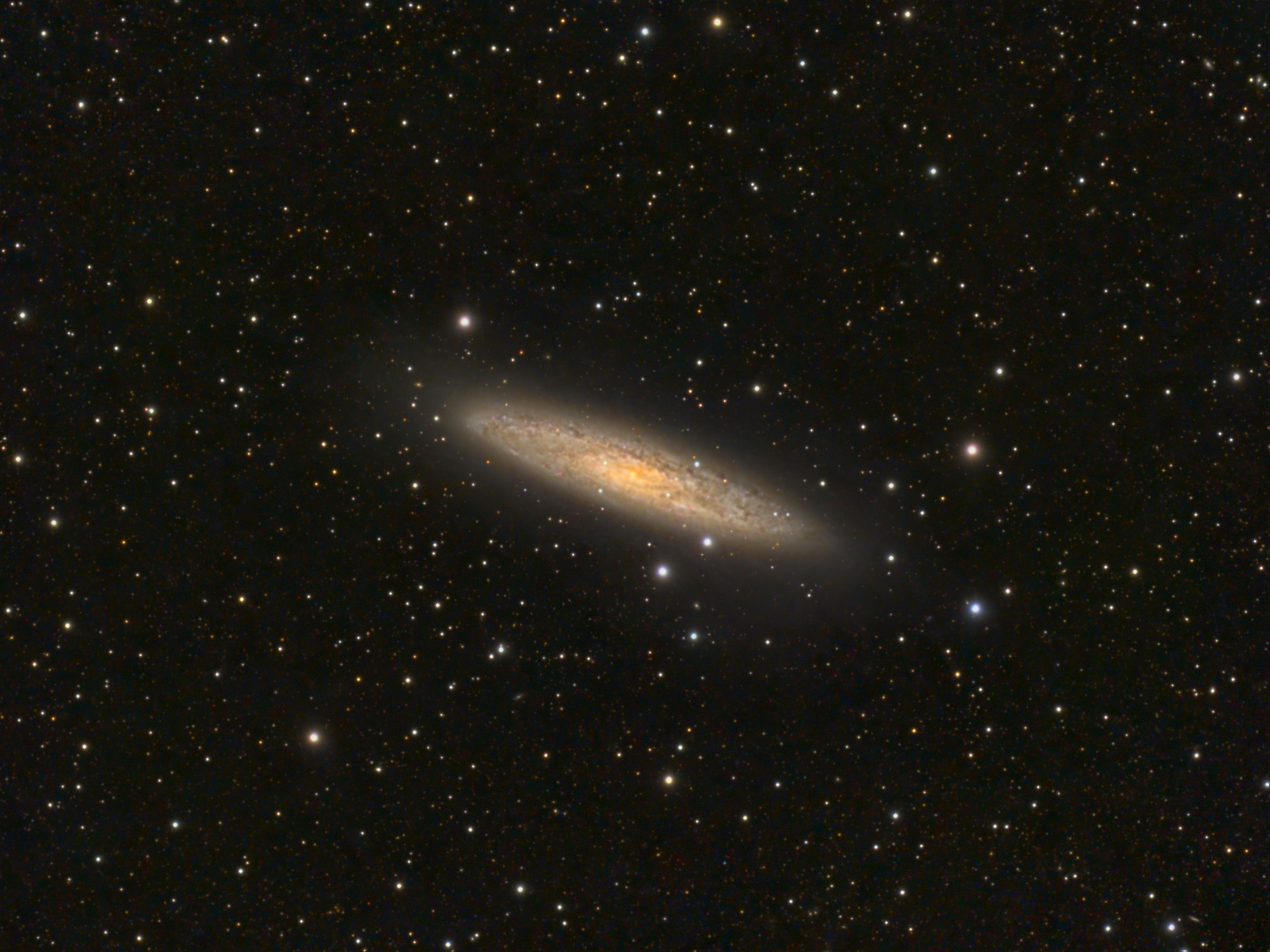 ngc253